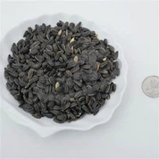 Fuglemad Solsikkefrø