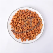 Stegte åbne pinjekerner