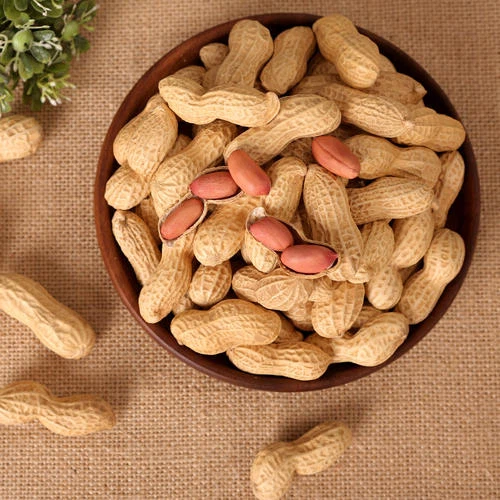 Sund og lækker kinesisk ristet jordnødde i skal