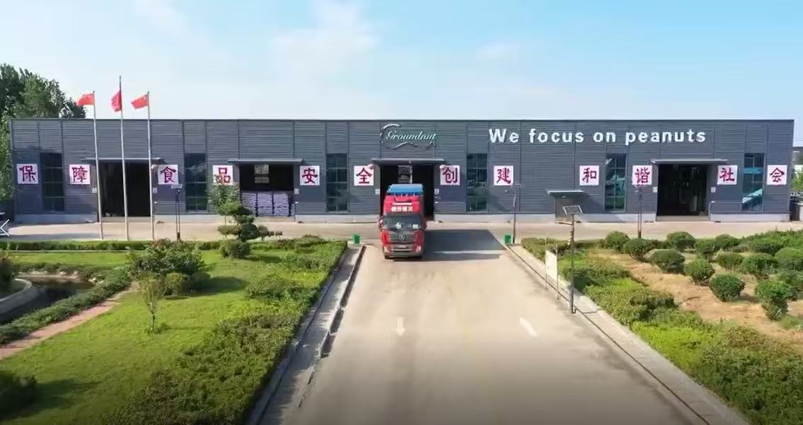 .jpg
