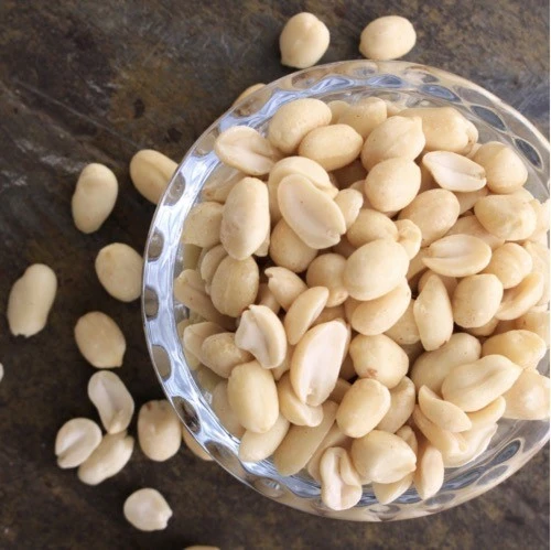 product-500-499 product-500-499