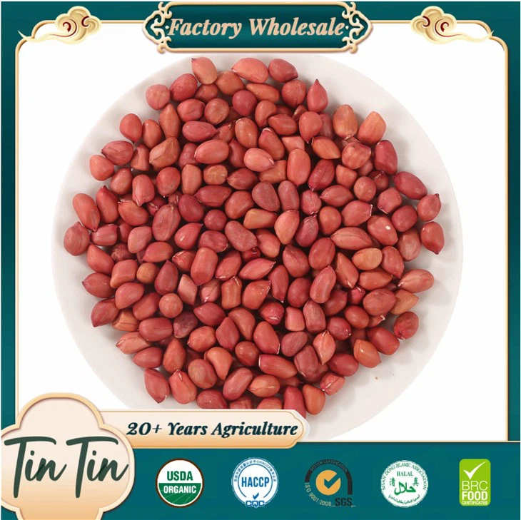 Red Skin Peanut Kernels 50/60 2024 New Crop
