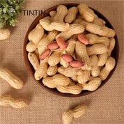 Lækker og god kvalitet kinesisk ristet jordnødde i skal-leverandør
