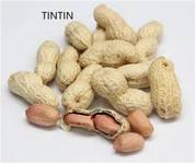 Sund, 100 % naturlig ristet peanut i skal