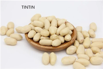 High Quality Raw Peanuts Ground Nut Blanched Kernels At Low Price Offer Wholesale Manufacturing Supply