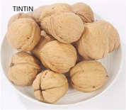 Hot sælgende, høj kvalitet og sund kinesisk valnød i skal