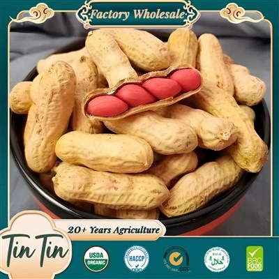 Ny sæson Stor Mængde Red Skin Peanut