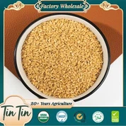 Ristede hørfrø med høj kvalitet