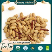 Sund snack-kinesisk dåse krydrede jordnødder